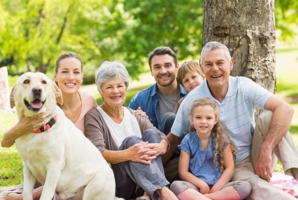 Parent visa experts
